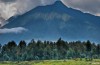 Virunga Park: Unico Patrimonio Naturalistico