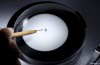 The Zika Virus is not a reason to panic