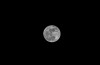 Eerste team tekent contract voor lancering maanlander in Lunar X Prize-wedstrijd