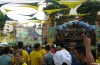 Tra Protesta e Party