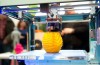 Imprimante 3D – la pomme de Discorde du droit d’Auteur?