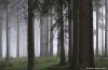 Under the earth