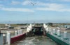 Tweakers op Texel