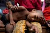 Nuovo Vaccino si ferma Parassita di Malaria