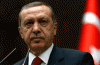 Erdogan Vorwahlkampf