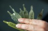 Hobbyists print keys to open the luggage