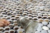 Research: Dutch software developers drink almost most of the cafe lwa ne