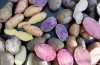 Antiche varietà di patate di nuovo nella Moda