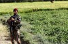 L’incertitude de la situation Sécuritaire après 2014