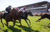 Scommesse e fare un Picnic su Ippodromo di