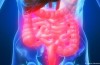 Meglio per il Mondo, come nel Ventre stretto! O: Intestino con Fascino
