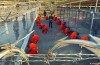 Governo: A Guantanamo sono molti Licenziamenti a
