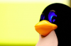 Allt Du Behöver Veta Om att Titta på DRM skulle Media på Linux