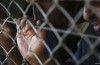 Amnesty denuncia mondiale di Tortura a