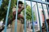 Rajasthan Polisen Rekrytering 2016: Gäller för 742 inlägg