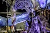 Carnival in Rio: Samba Dance with me