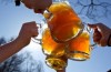 La germania celebra la sua Birra