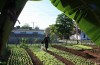 Più Mercato in Cuba