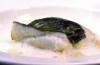 Pesce con Cappuccio