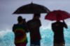 German economy defies the crisis