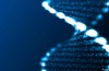 EMBL – Ricerca nel Libro della Vita