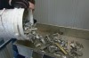 Recyclage des Métaux précieux