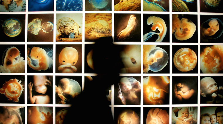 Redigering human genome project: no mutants eller super människor, men att lära sig mer om embryon