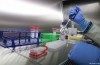 Ebola Epidemia in Guinea