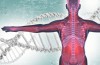 Contenitore: Podcast Audio “Medicina & Salute”