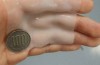 “Scientists create sensors that organs can be pasted”