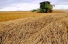 Ucraina-la Crisi spinge per il Grano