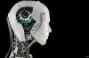 Robot – un Marché avec un énorme Potentiel