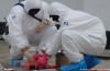 Sostanze radioattive, sulla scia di