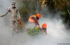 WHO calls global Gesundheitsnotstand due to Zika Virus
