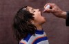 Organisation mondiale de la santé met en garde contre l’Augmentation de la Polio, Maladie de