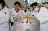 Atomkontrolleure certifier l’Iran Progrès
