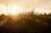 Fujifilm Fujinon XF 35mm F1.4 R – curkey
