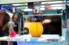 Stampanti 3D – Contesa del diritto d’Autore?