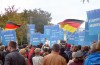 AfD: populism and more