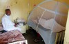 Lutte contre la Dengue
