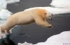 Handlungschancen contro il cambiamento Climatico