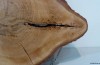 Il legno, come filtri per l’acqua