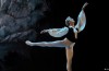Addio Balletto-Star Malakhov