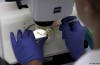 Comment: taboo of the Gene