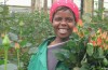 Comme équitable Fairtrade?