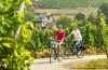 Fahrradtrends in Germania: Da Bicicletta!