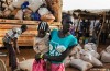 La germania lavora la protezione alla Frontiera con il Sudan, l’Eritrea e l’insieme