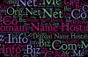 Est-Il une Différence Entre le Nom du Serveur de noms de Domaine et les Résultats de Recherche?