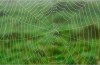 Ne Les Serveurs Web Seulement Tenir Un Site Web?